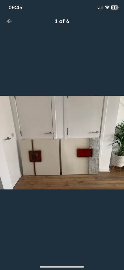 Lovely pair of modern art canvas paintings 
