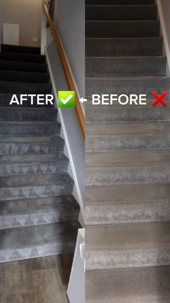 Professional Carpet & Sofa Cleaning – 5★ Service