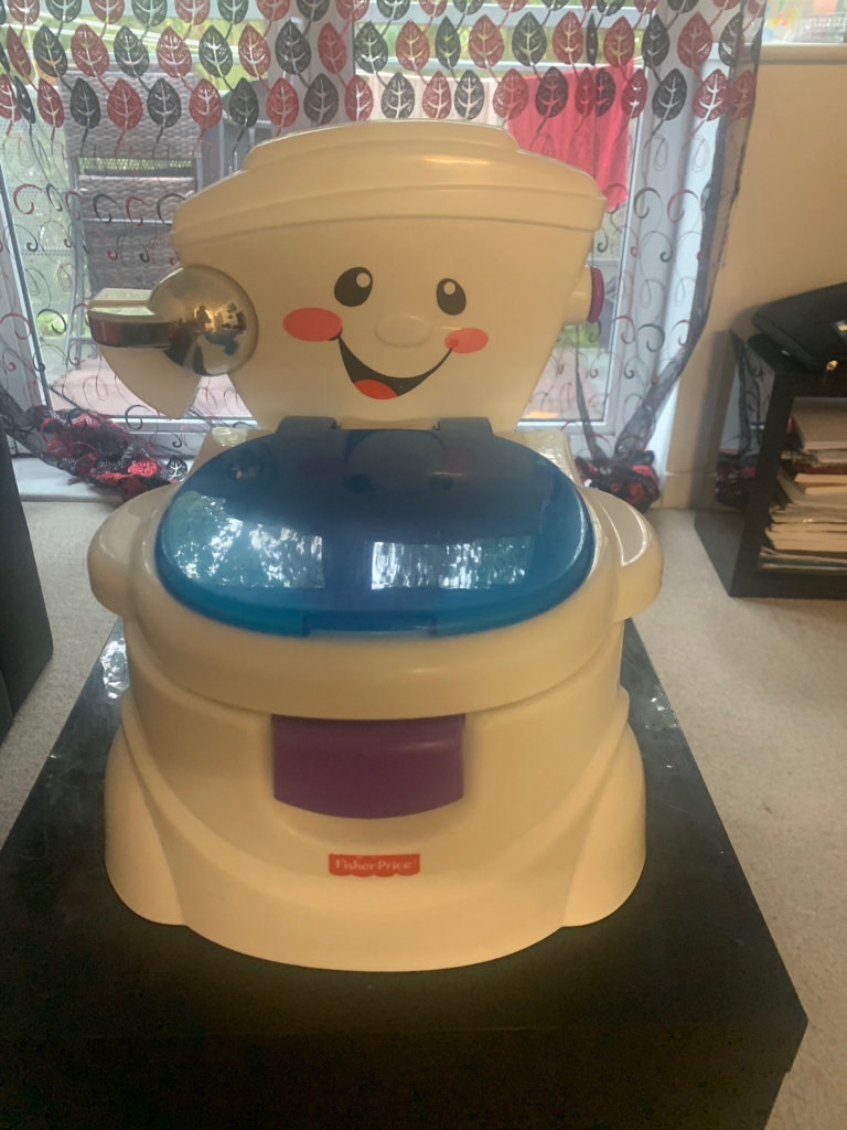 Fisher Price Potty Training Seat