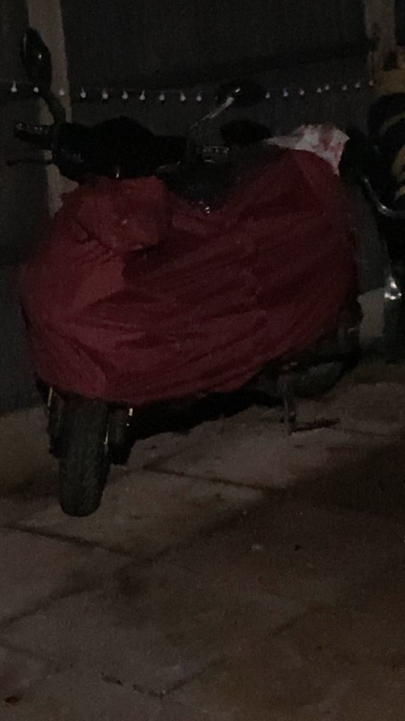 Other Motorbikes, 2016, 124 (cc)