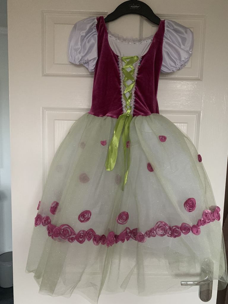 World Book Day costume. Dress with accessories. Age 8-10