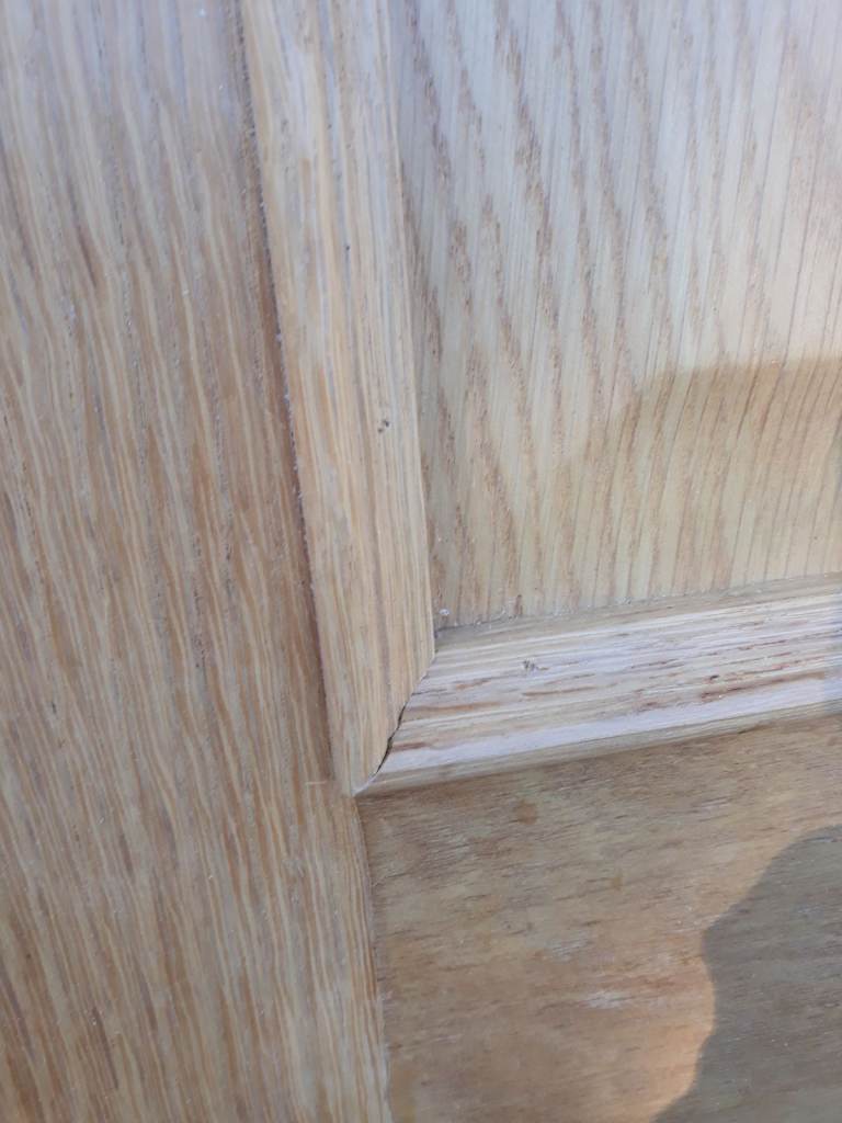 FREE!!-----Oak veneered panelled door-----FREE