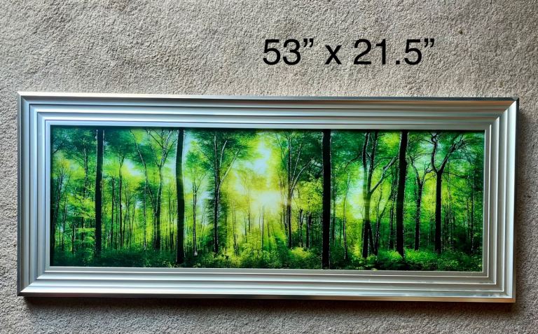 Forest Glass 2D silver framed picture