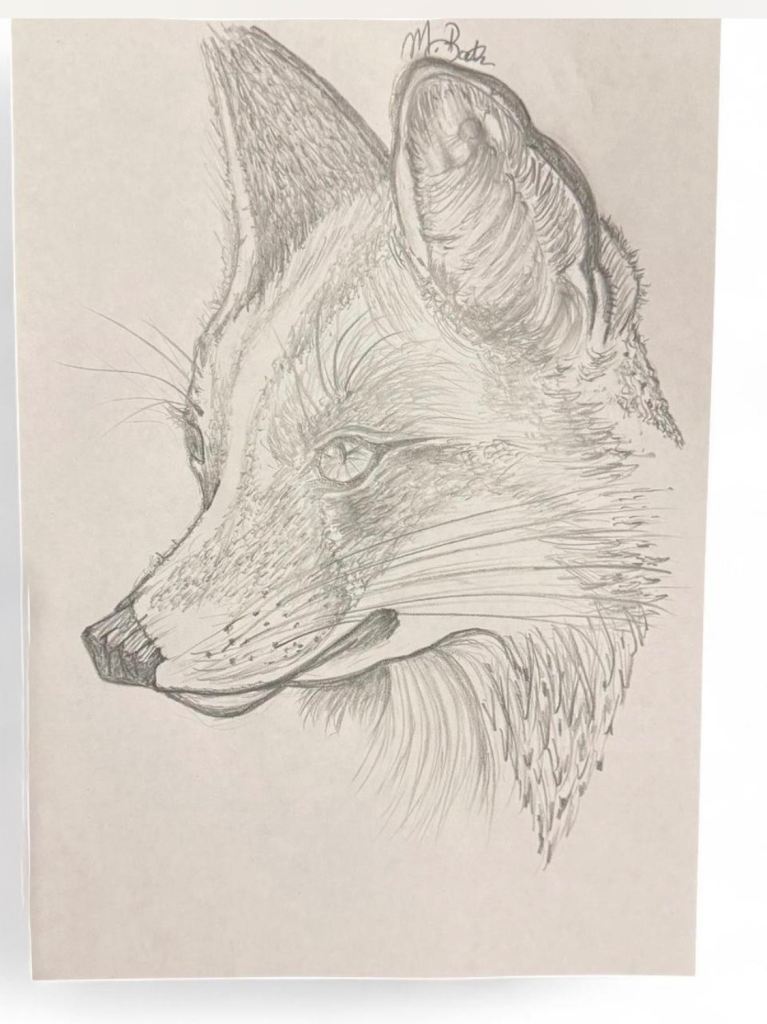Original A4 Black & white Pencil Drawing sketch of a Fox  – New, Excellent Condition