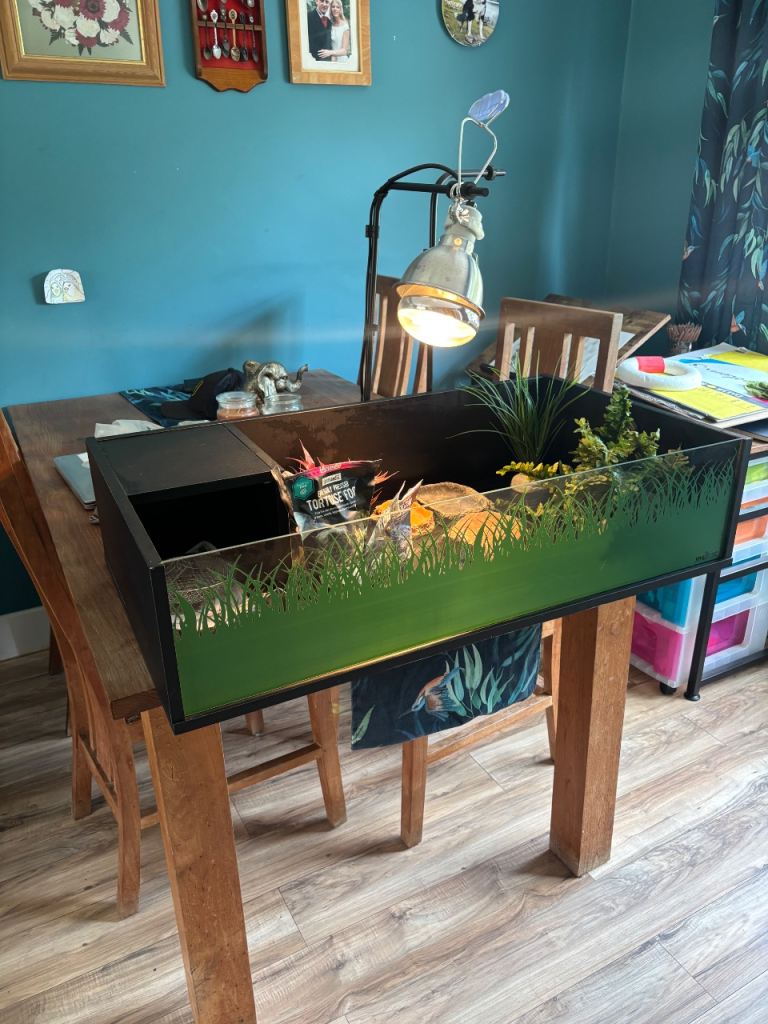 Tortoise table complete 