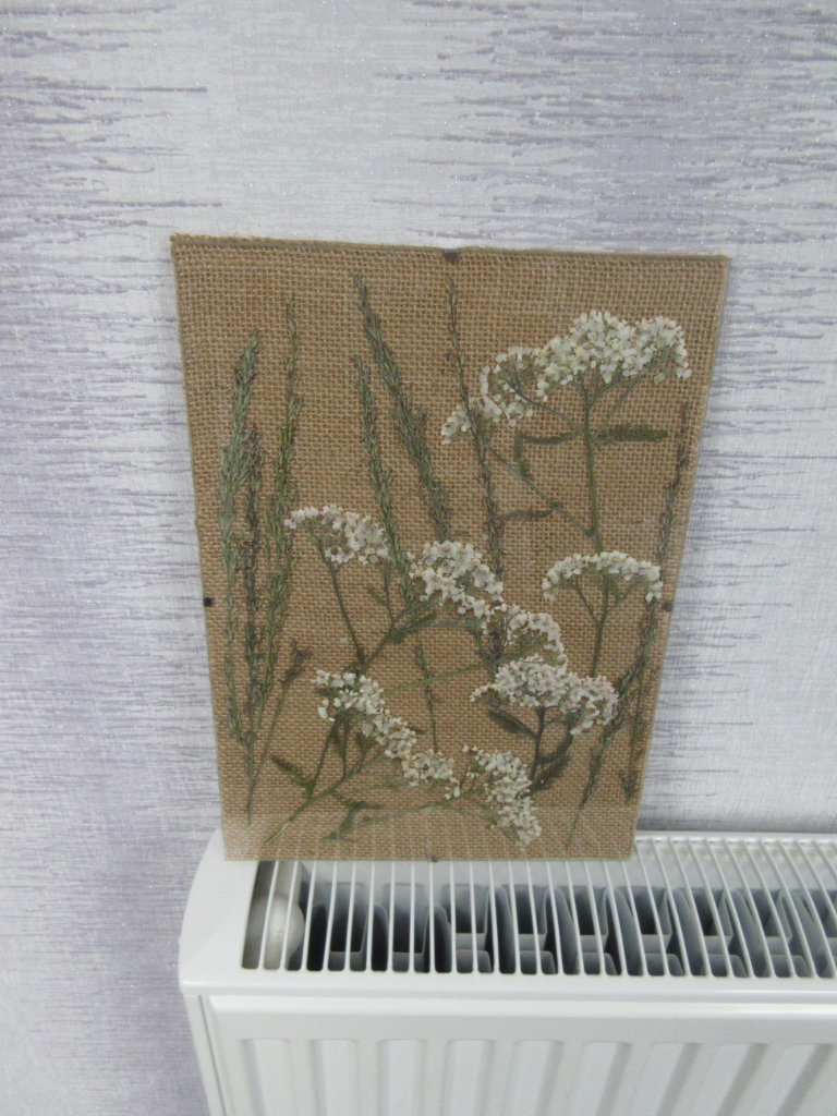 Glass Picture With Pressed Flower & Grasses BRAND NEW
