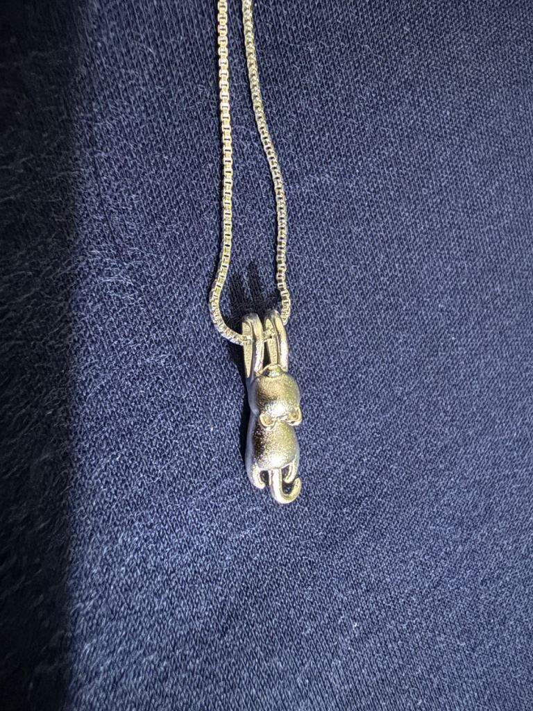 925 Silver cat necklace 
