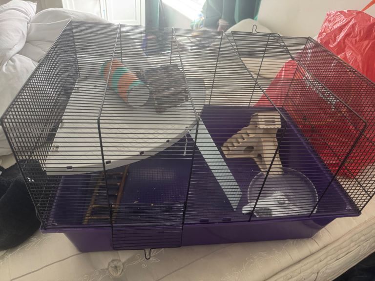 Hamster cage 