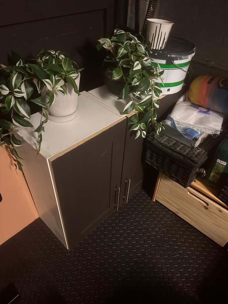 Free cabinet storage unit shelves