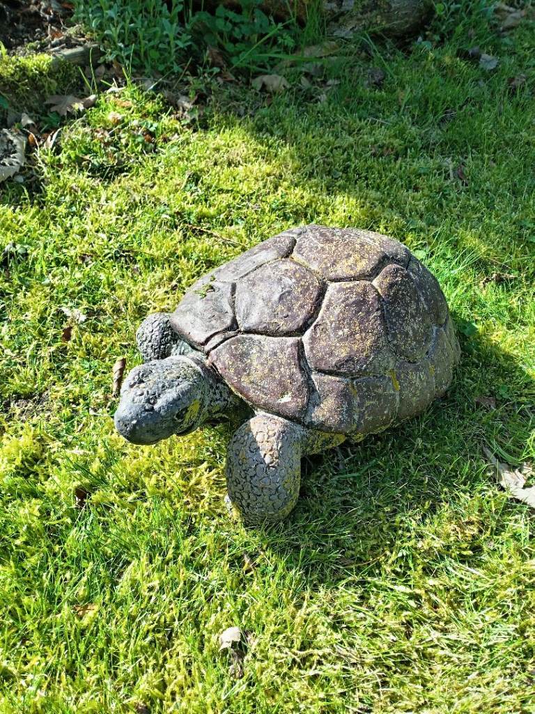 Concrete garden ornament of a tortoise