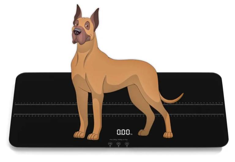 Digital pet scale for dogs Weighing Scales LCD Digital Scale - Max 220lbs | k)