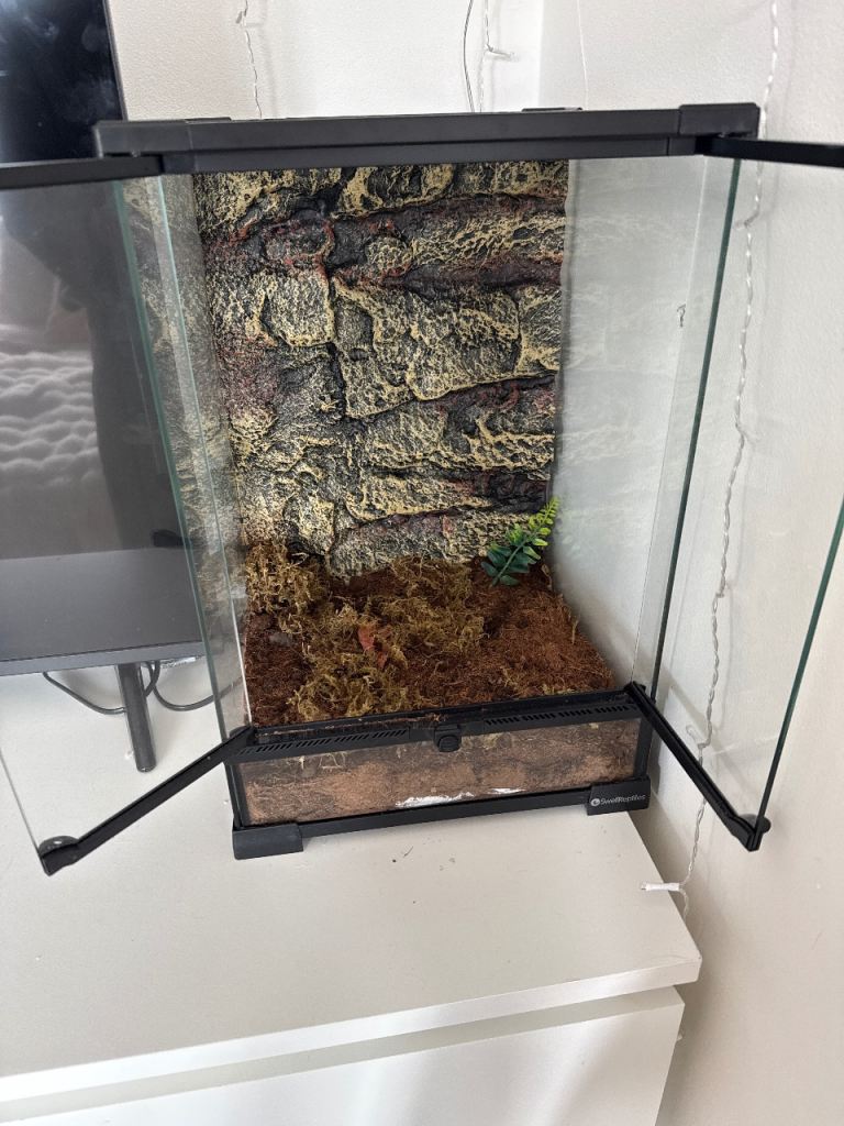 Reptile Terrarium Tank for Pet Gecko Lizard 