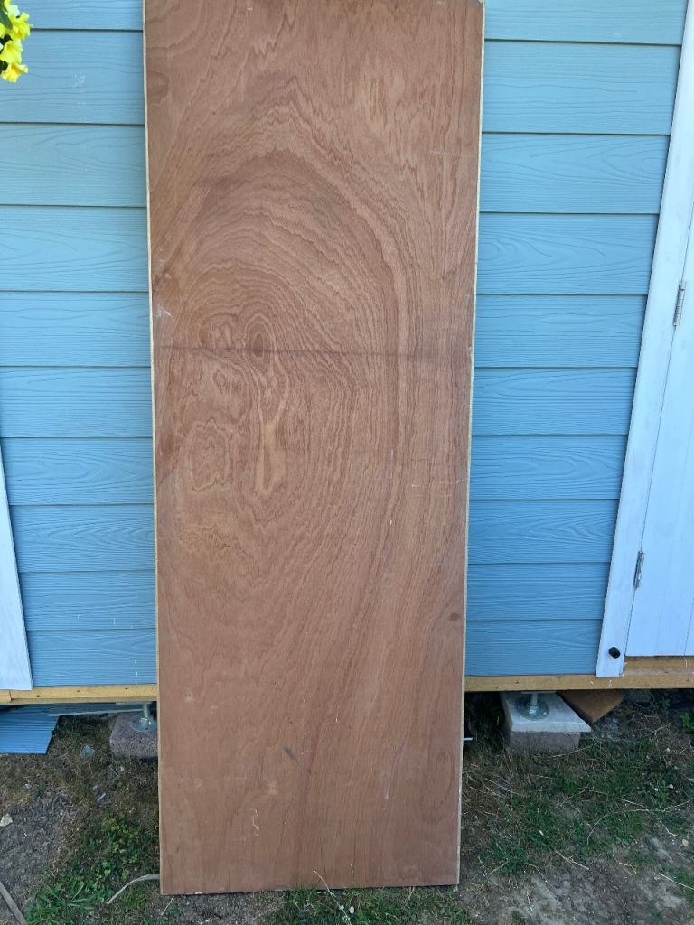 Ply flush door