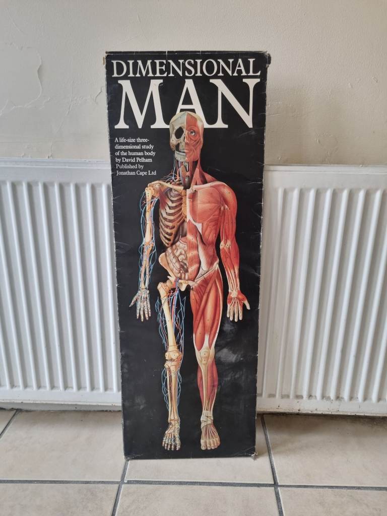 David Pelham Anatomical Medical 