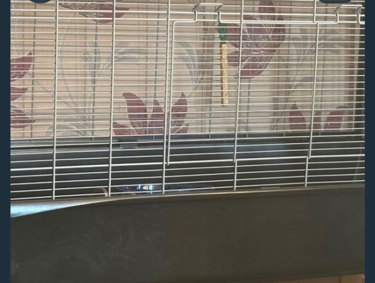 Pets at home 140 hamsters cage 