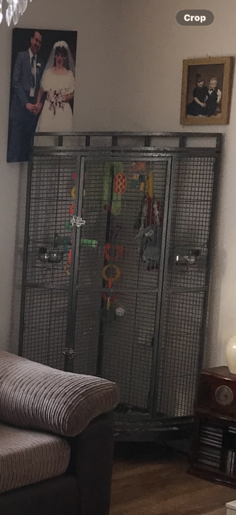 Corner parrot cage 