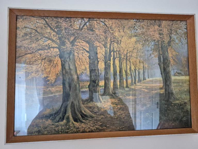 Daniel Sherrin Vintage Framed Art Print, The Beech Glade