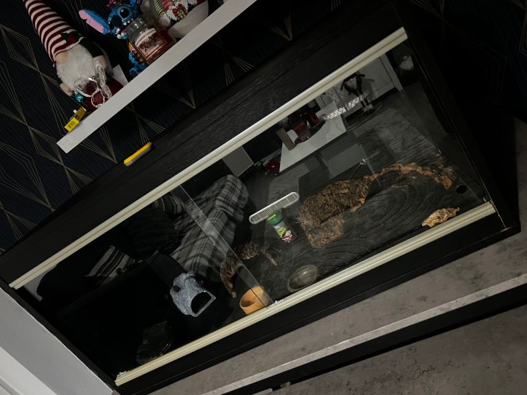 Reptile viv 3ft £30 if gone soon