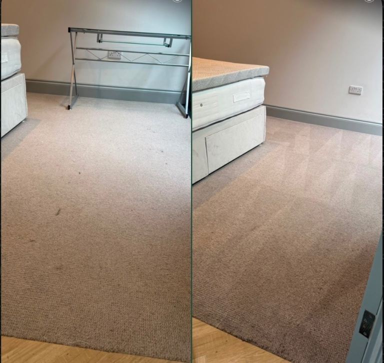 Professional Carpet and Upholstery Cleaning 