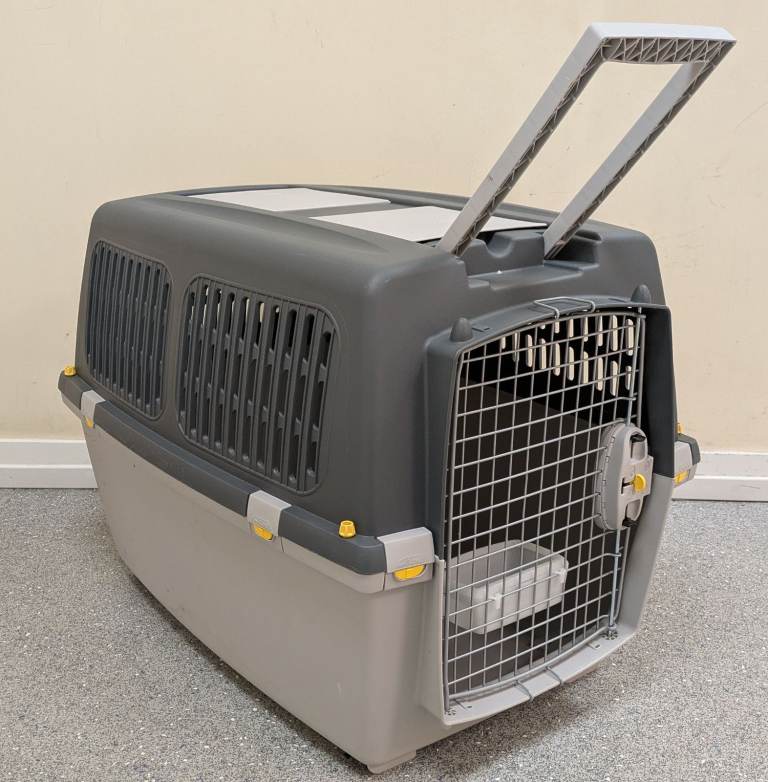 pet carrier, transport crate, kennel