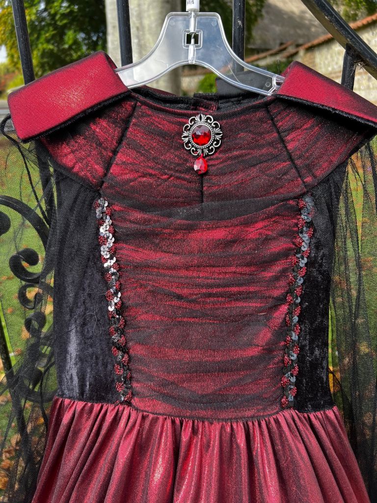 Halloween Outfit/Fancy Dress Aged 9-10 years