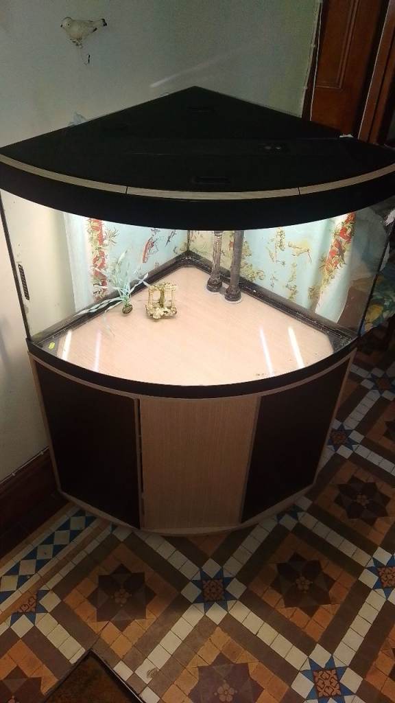 174Lit. Fish tank for reptiles. 