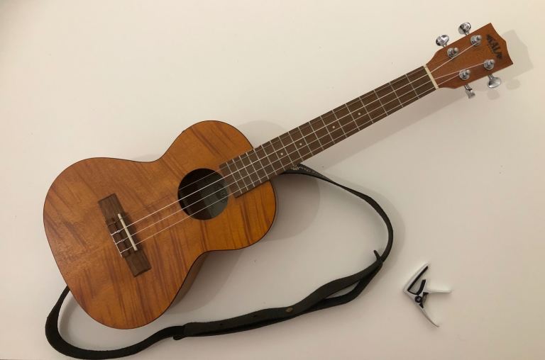 Ukelele Tuition