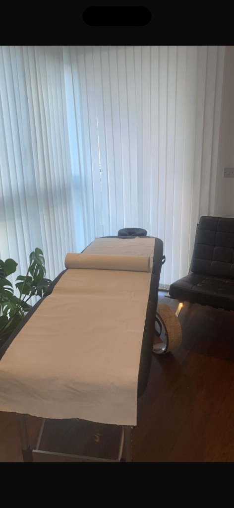 Physiotherapy/ massage bed