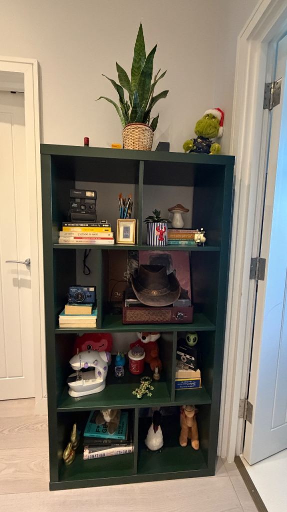 bookshelf cube 