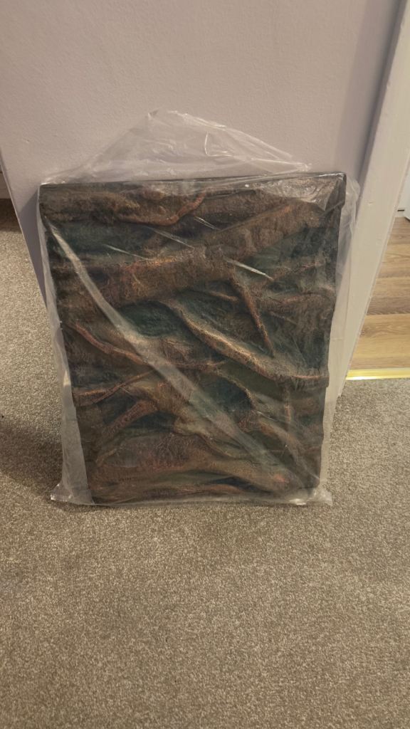 Terrarium Background 