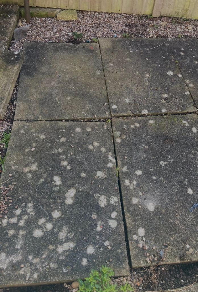 Four slabs FREE large 