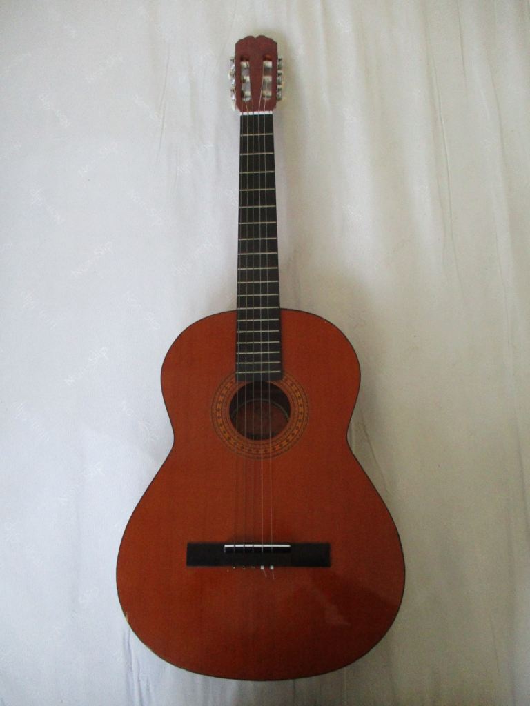 Almeria Classical Guitar, 1 Missing String