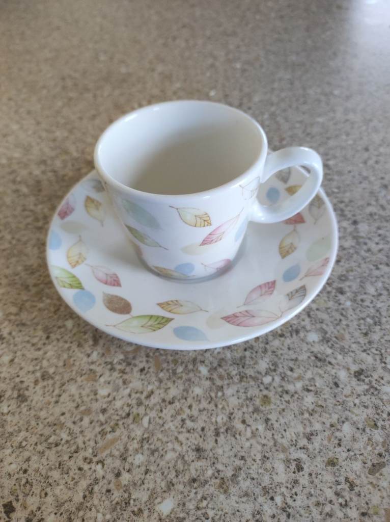 Single hand painted tea cup and saucer by Lucca.