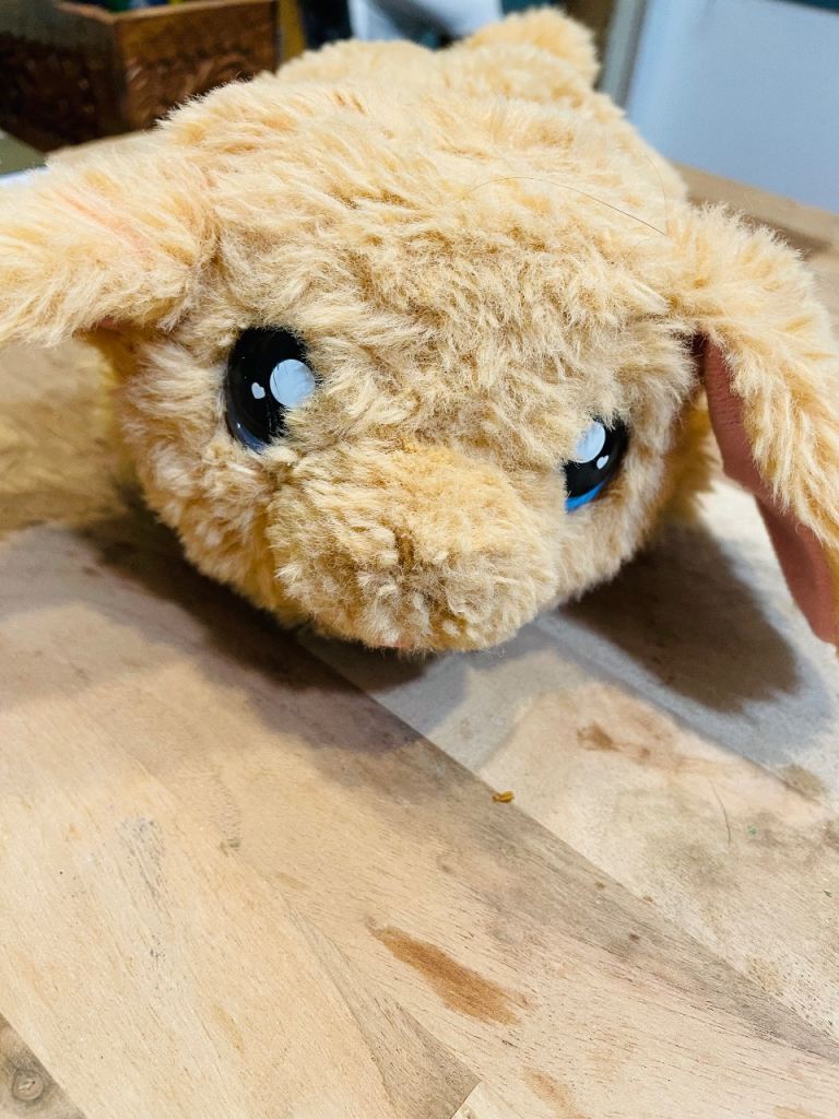 Toy pet dog