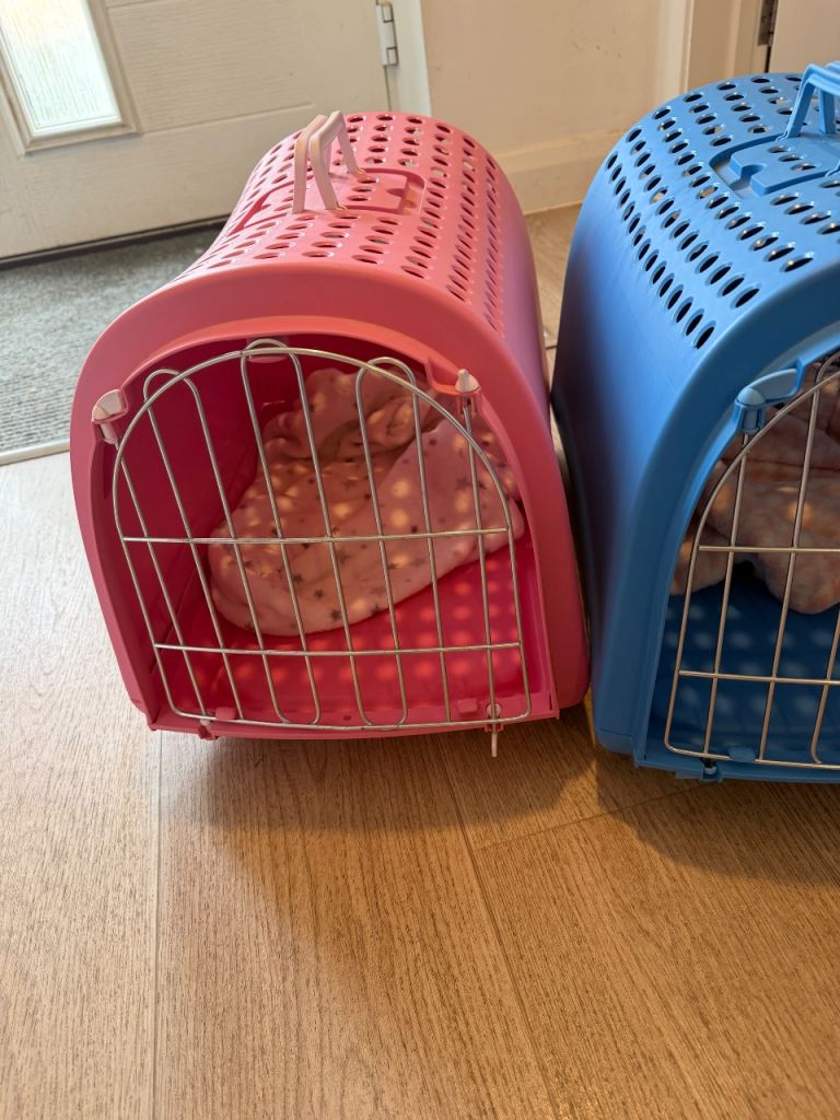 Cat transporters