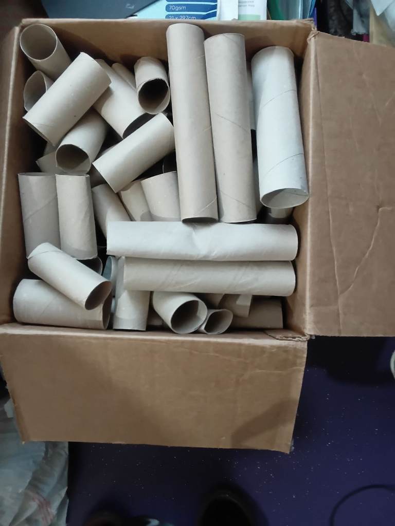 170 empty toilet roll &  11 kitchen tubes for art and crafts/school projects/gardening