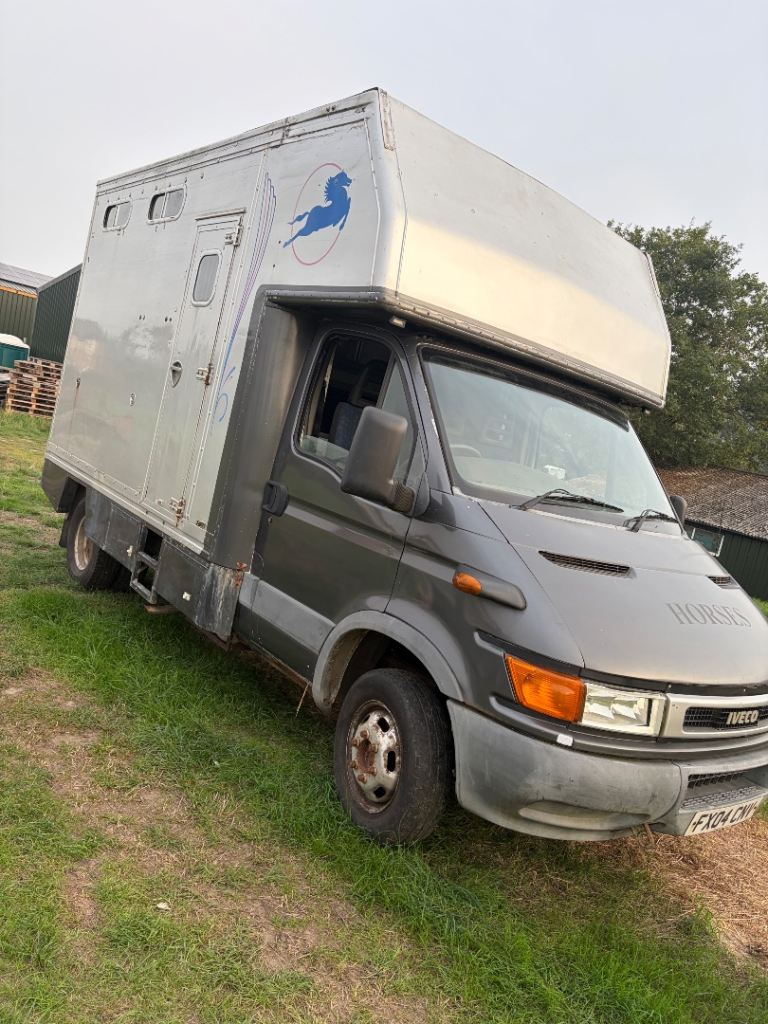 Iveco daily horse box