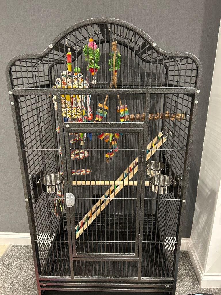 Parrot bird cage 