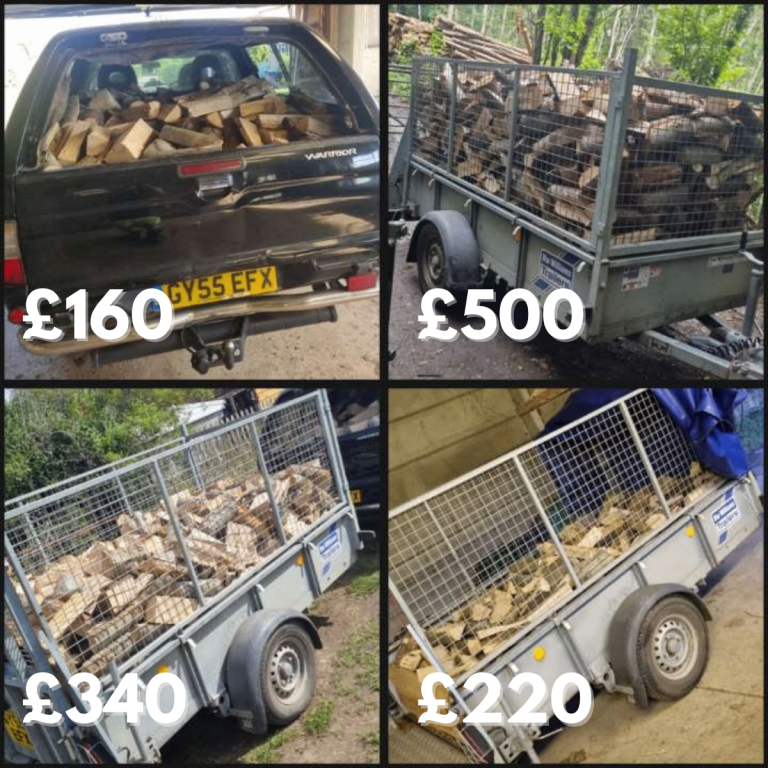 Seasoned firewood logs