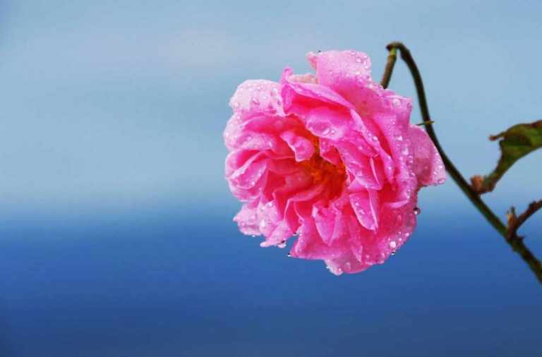 Deep Tissue Massage Outcalls - London - £50