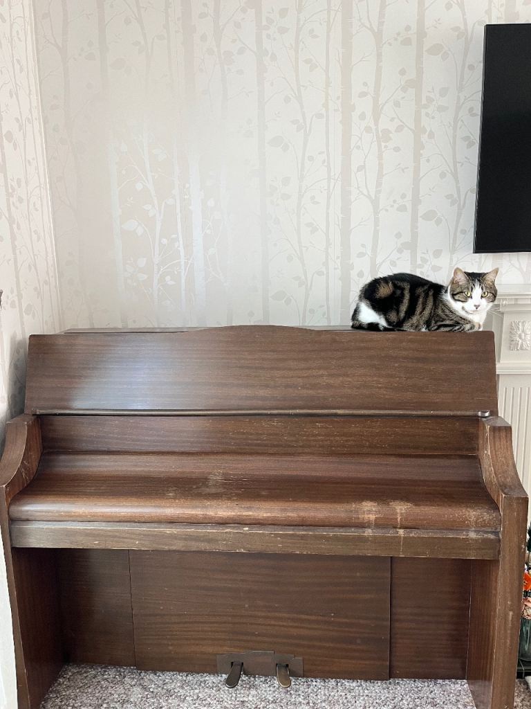 Bentley Piano