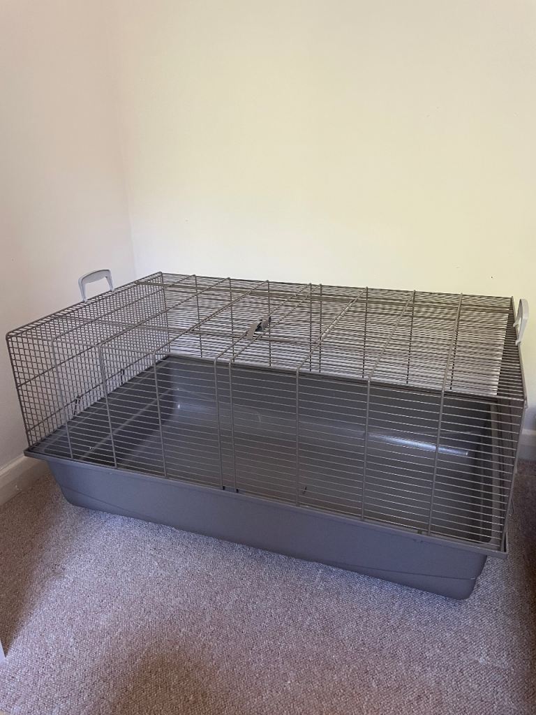 Small animal: hamster cage 