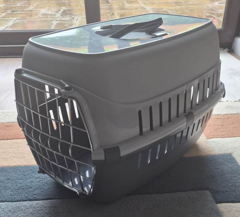 Pet carrier for large cat + scratch post