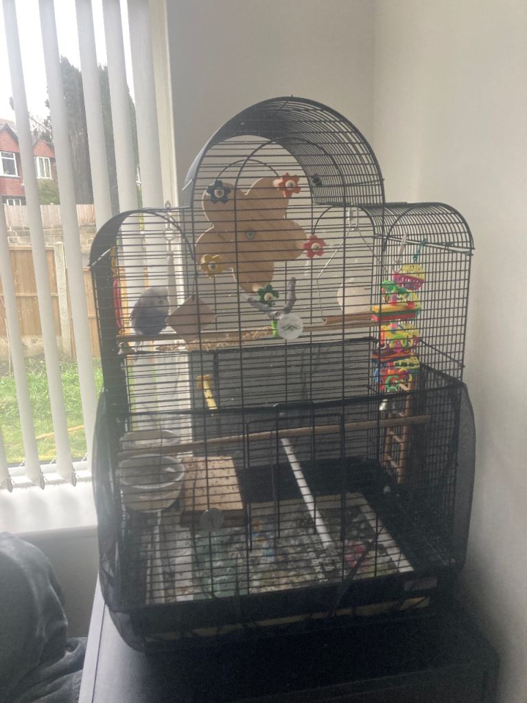 Bird cage with accessories