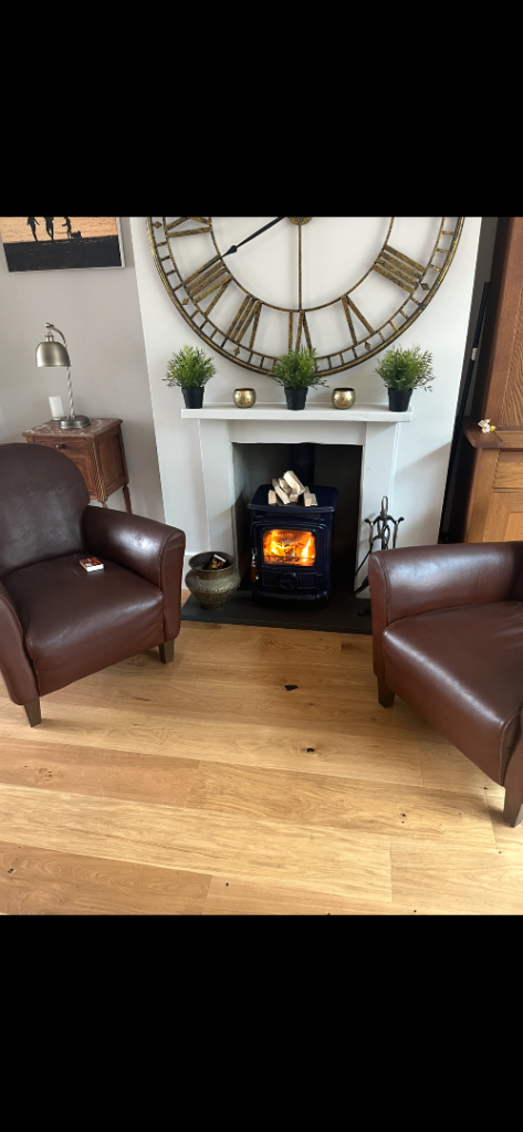 Two nice fire side leather chairs