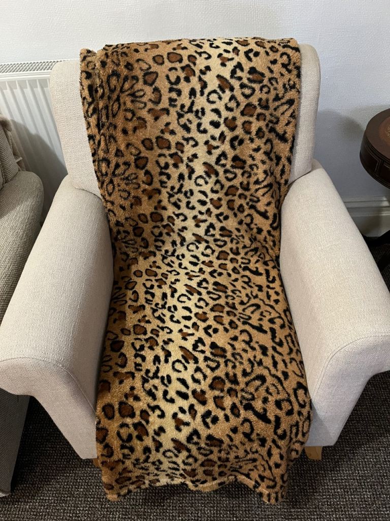 Arm chair Dunelm 