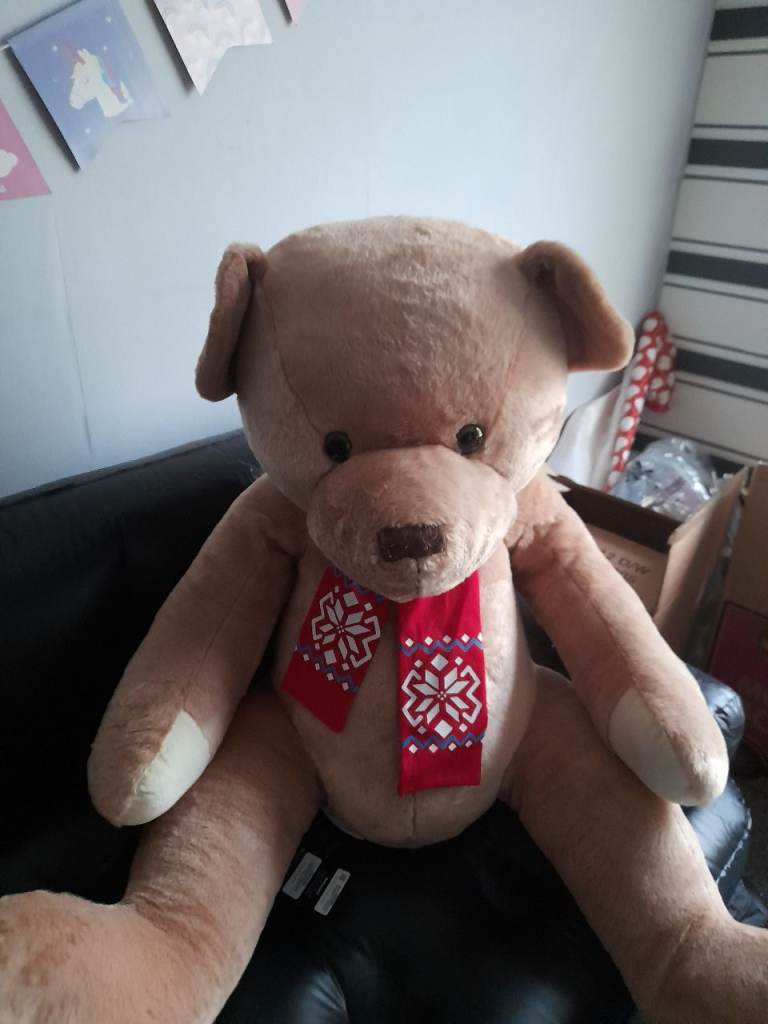 Extra Large Teddy Bear