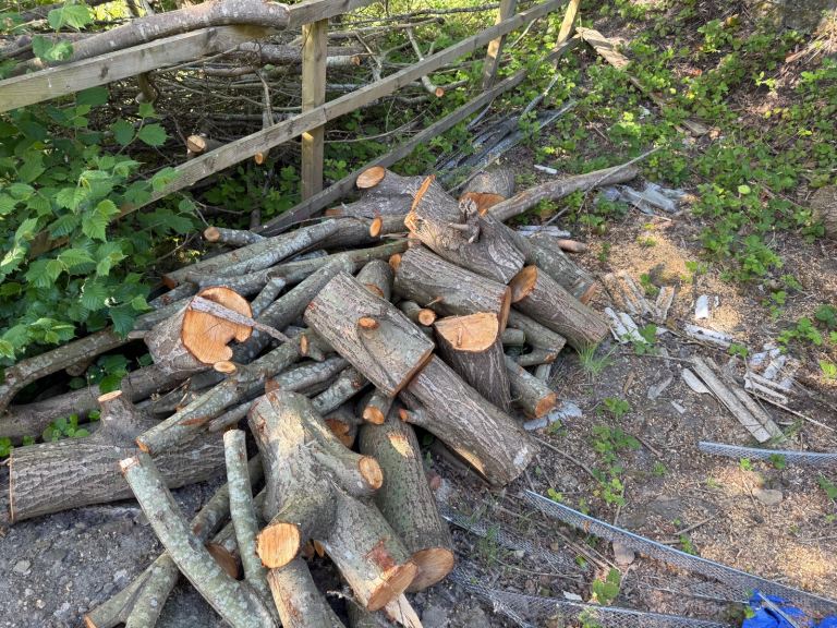 Logs for sale