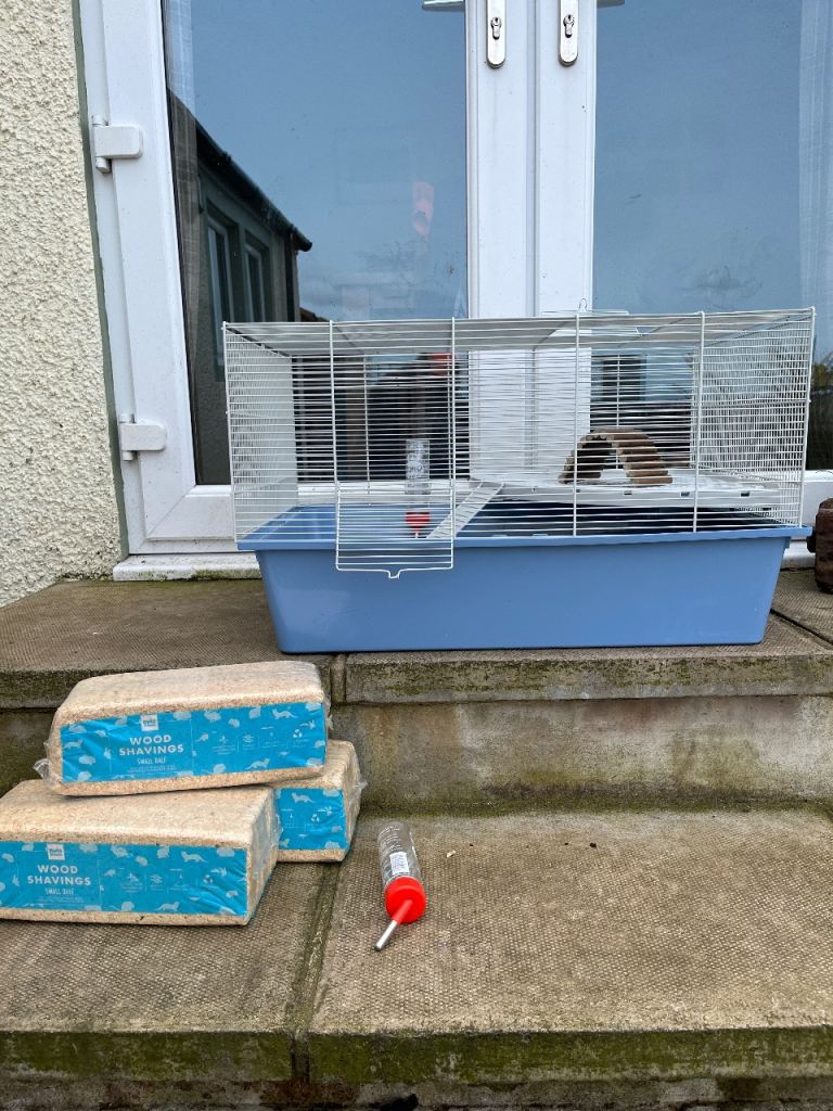 Unused hamster/mouse cage - starter kit