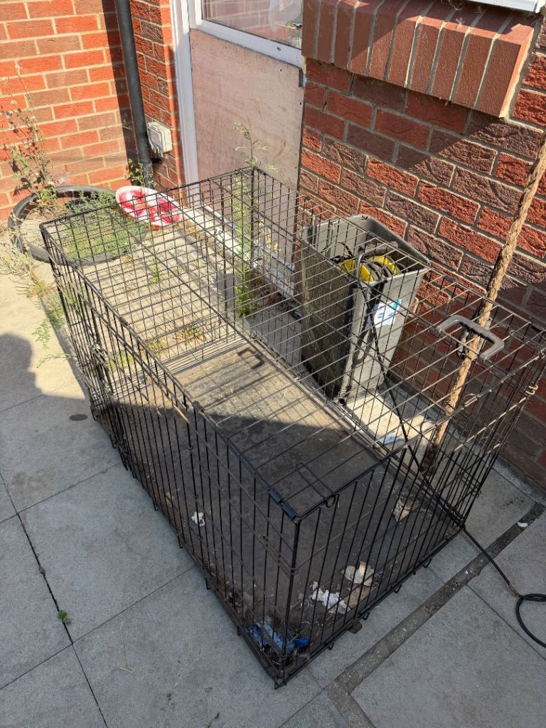 Large Crate